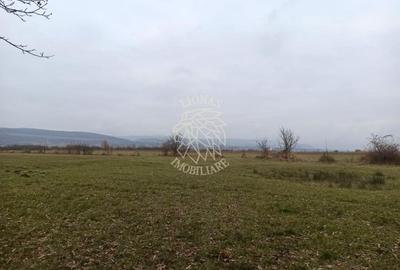 Teren agricol extravilan de 19611 mp, în Livezile - 3