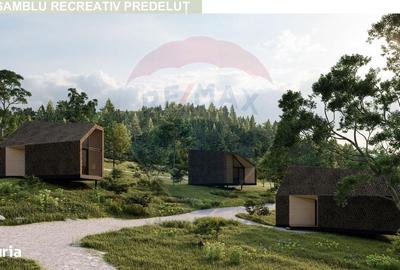 Spațiu comercial, în Predeluț - 9