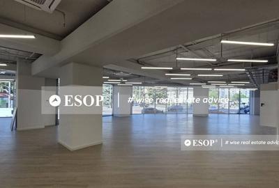 Cladire de birouri de vanzare, zona Victoriei, 9750 mp, I... - 4