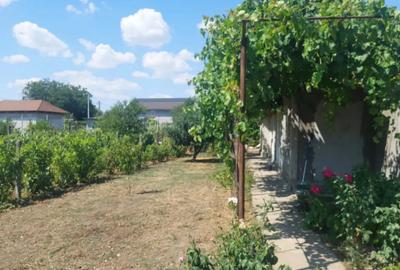 Casă cu 4 camere cu Teren 945 Mp în Cobadin - 8