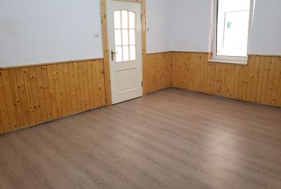 VAND casa renovata, luminoasa cu tavan inalt ,utila pentru orice destinatie,in Jimbolia. - 6