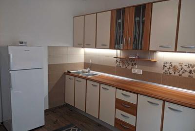 Apartament 1 camera in zona Blascovici - 5