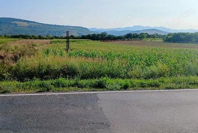 Teren extravilan 8.053 mp (cu iesire la Raul Mures) in Satul Mintia din Comuna Vetel, Jud. Hunedoara - 2