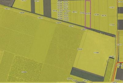Teren de 5000 mp, în Schitu - 4