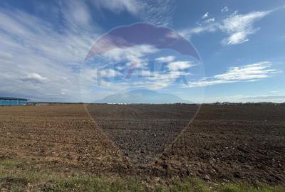 VANZARE Teren intravilan industrial BUFTEA/Strada Milano/... - 18