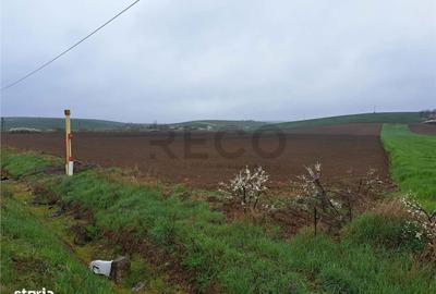 Spațiu comercial, în Ghenetea