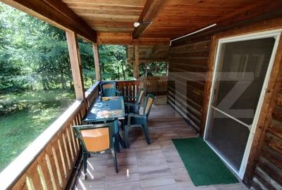 Cabana 4 camere Lunca Bradului - 13