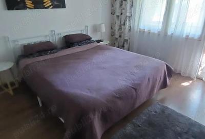 Apartament cu 2 camere decomandat în Snagov - 5