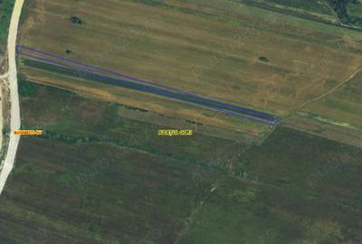 Teren de 11137 mp, în Curtișoara - 1
