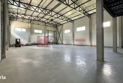 Spațiu comercial, de 300 mp, în Noua - 20