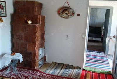 Casă cu 4 camere cu Teren 2368 Mp în Blăjani - 1