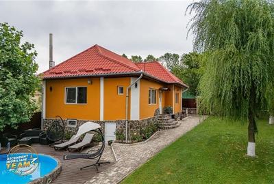 FILM&3D! Doua case cu:piscina,foisor,arbori decorativi,1.700mp teren,Lutoasa,Cov - 41