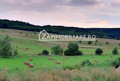 Teren intravilan 50 ari,Livezeni,iesire catre Ivanesti,28 eu/mp - 3
