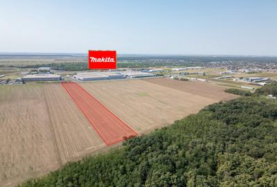 Teren Vanzare Intravilan Branesti investitie Zona Industrial - 4