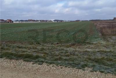 Teren în Nojorid - 1