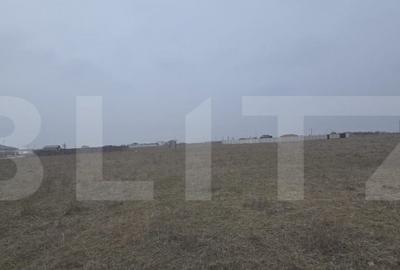 Teren intravilan, 1000 mp, pozitie pe colt, front 39 metri, - 3