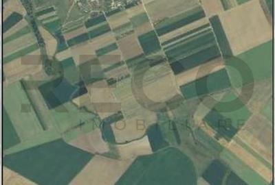 Teren de 8632 mp, în Nojorid - 1
