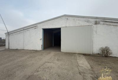 Hala productie usoara/ atelier/ depozitare de inchiriat Calea Borsului - 2