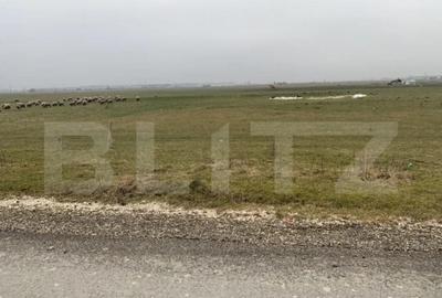 Teren de 1961 mp, în Bartolomeu