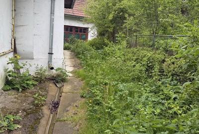 Casă cu 3 camere în Furnica