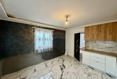 Casa / Vila cu 8 camere - 3