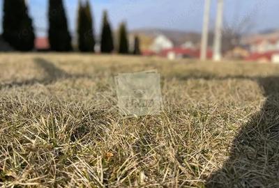 Casa moderna cu 4 camere terasa si garaj si 585 mp teren in Sura Mare - 4