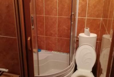 Garsonieră semidecomandată în Buziașului - 2