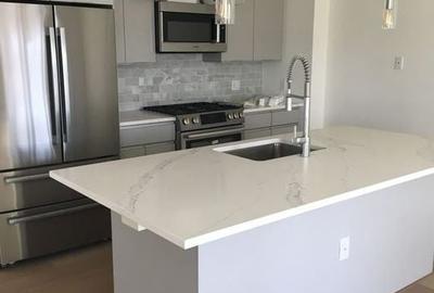 Apartament 4 camere  ultralux  Herastrau - 4