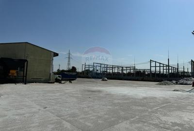 Spatiu industrial hala curte generoasa ideal activitati reciclare Spatiu industrial hala curte generoasa ideal activitati reciclare - 4