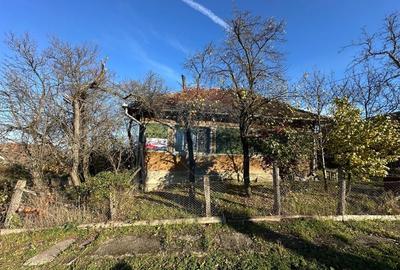 Casă individuală cu 3 camere cu Teren 888 Mp în Bogdand - 11