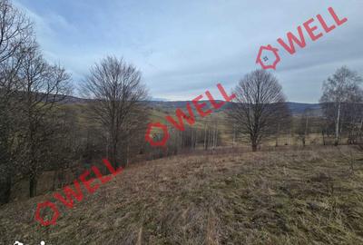 Teren de 5800 mp, în Barcani - 3