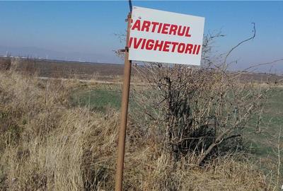 Teren de 20000 mp, în Central - 8