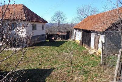 Casă cu Teren 6996 Mp în Cerișor - 8