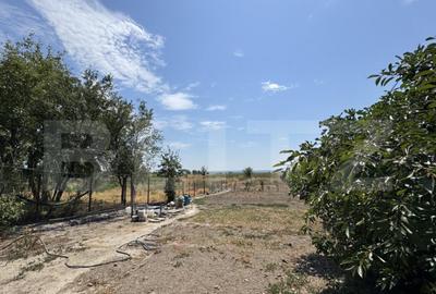 Casa pe parter Carna, 100 mp, 1500 mp teren - 20