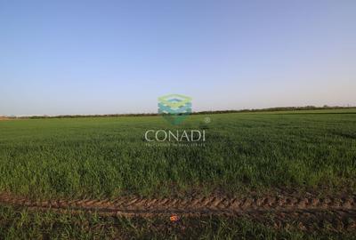 Teren Clinceni 5.792 mp - 4