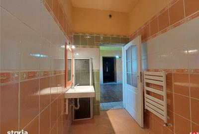 Casă cu 5 camere decomandat cu Teren 2155 Mp în Periam - 20