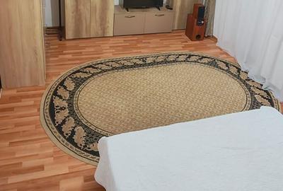 Garsonieră decomandată în Prundu - 8