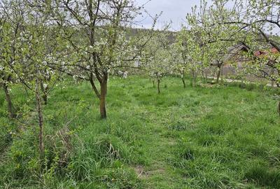 Teren de 2700 mp, în Central