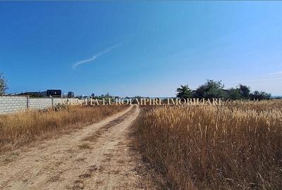 Teren de vanzare in Mamaia Sat (Nord), Mamaia Sat - 223 mp - 6