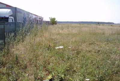 Teren de 2975 mp, în Băneasa - 3