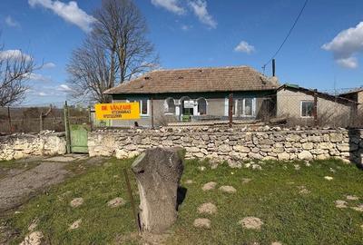 Casă cu Teren 2142 Mp în Olteni - 9