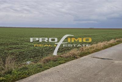 Teren de 4200 mp, în Corbu