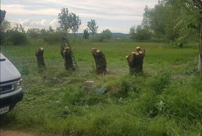 Spațiu comercial, în Central - 3