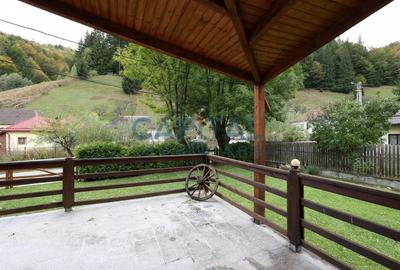 Casa de vacanta/pensiune in Dambovicioara, Arges - 39