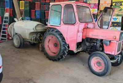 Casa si Livada de 4.5 ha Casa si Livada de 4.5 ha - 5