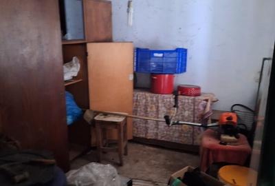 Vand casa teren 3000mp satul Gresia, Rosiorii de Vede, Teleorman - 11