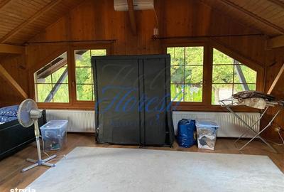 Casă cu 5 camere cu Teren 3000 Mp în Făget - 17