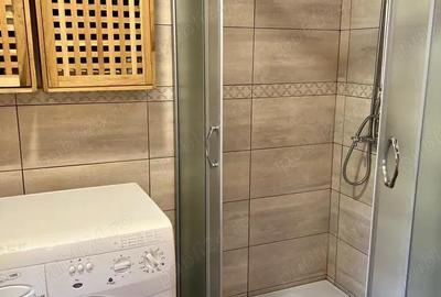 Casă cu 2 camere în Sasca Montană - 8