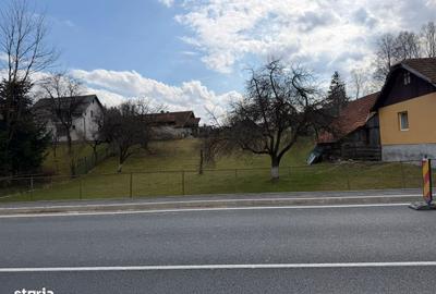 Spațiu comercial, în Bran - 3