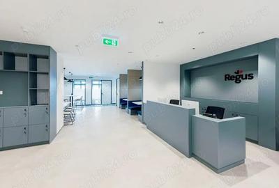 Spa?iu de birou privat pentru 1 persoana in Regus Sun Business Centre - 2